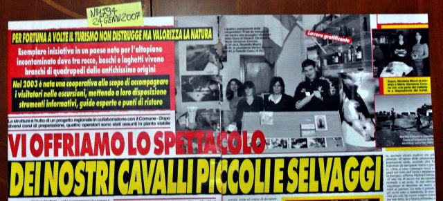 SARDEGNA2007cavallinidellagiara8